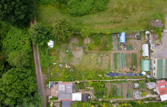 Plot for salein Lydney photo